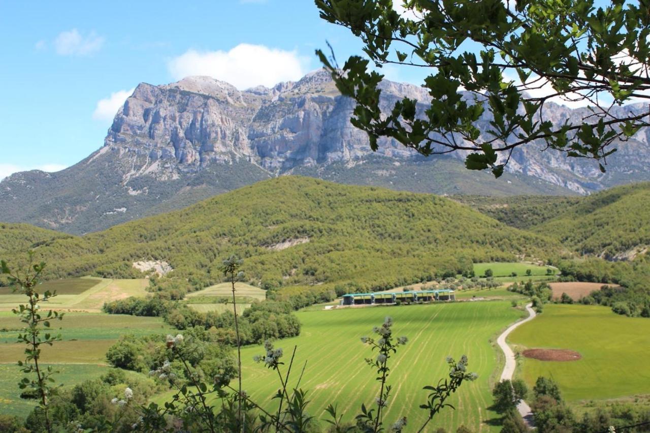 Preciosas Vistas A La Montana, Luminoso Y Acogedor Daire El Pueyo de Araguás Dış mekan fotoğraf