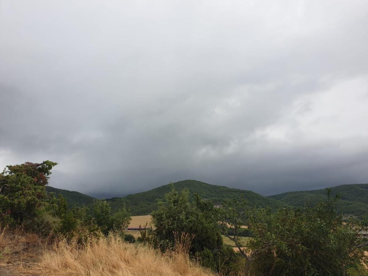 Preciosas Vistas A La Montana, Luminoso Y Acogedor Daire El Pueyo de Araguás Dış mekan fotoğraf